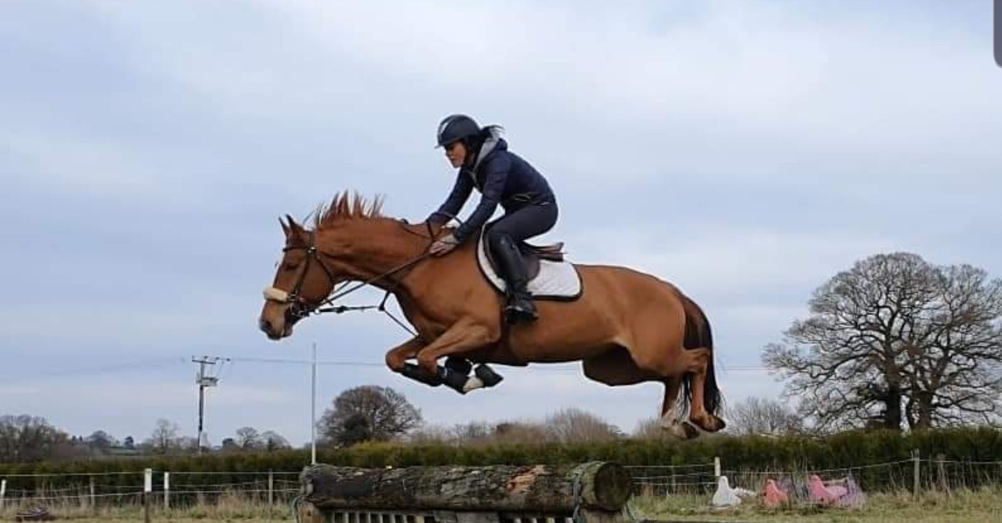 Horse jumping